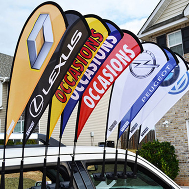 Mini Wing / Teardrop / Car Flags